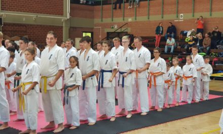 Karate versenyt rendeztek Baján